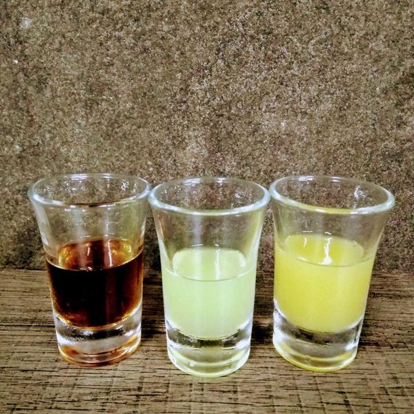 Imagem de Kit de Licores Finos da Serra Gaúcha - Limoncello, Arancello e Nocino