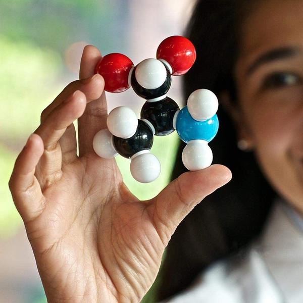 Imagem de Kit de modelo molecular de química LINKTOR Conjunto para alunos/professores