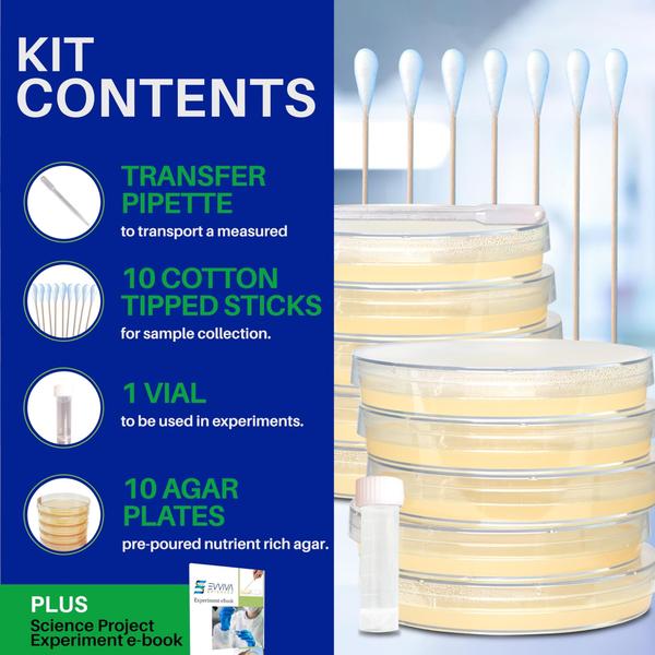 Imagem de Kit de projeto científico Evviva Sciences Microbiology com Agar Pla