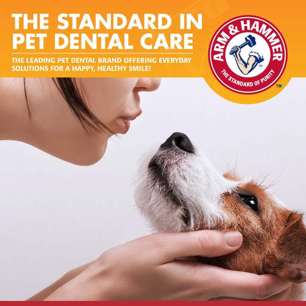 Imagem de Kit de saúde dental Gum Arm & Hammer para cães de estimação