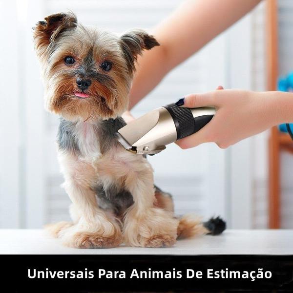 Imagem de Kit De Tosar Maquina Cachorro Kit Profissional Para Tosar Pets Gato Cachorro Aparador De Pelos