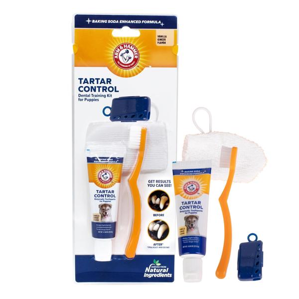 Imagem de Kit de treinamento odontológico Arm & Hammer para controle de tártaro de animais de estimação