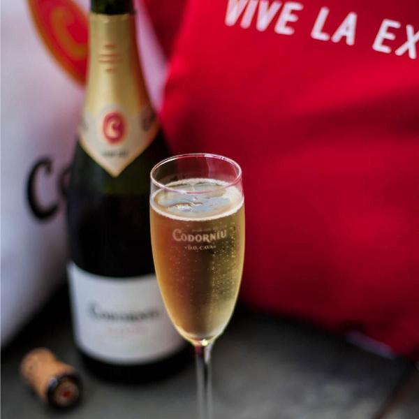 Imagem de Kit Espumante Cava Codorniu Brut Clasico 750Ml 2 Taças Opala