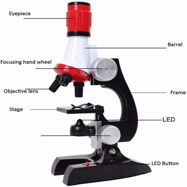 Imagem de Kit estudantil de microscópio 100x 400x