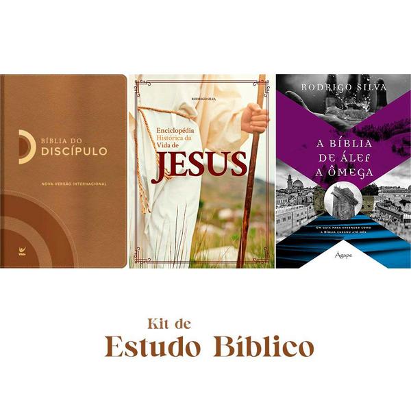 Imagem de Kit Estudo Cristão + Biblia Sagrada NVI + Enciclopedia da Vida de Jesus + Bíblia de Àlef a Ômega - 3 livros