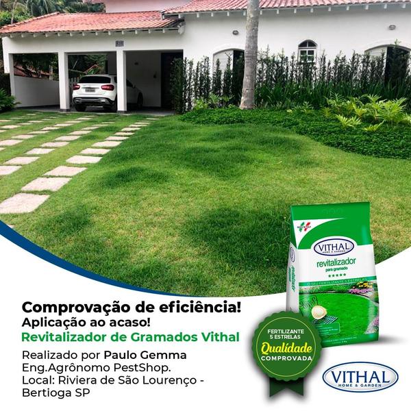 Imagem de Kit Fertilizante Revitalizador Para Gramado Vithal 1k - 5 Un