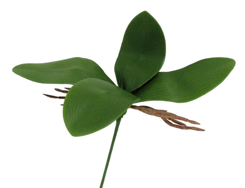 Kit folhas de orquídea artificial 8 haste - Decora Flores Artificiais Imagem de Kit folhas de orquídea artificial 8 haste