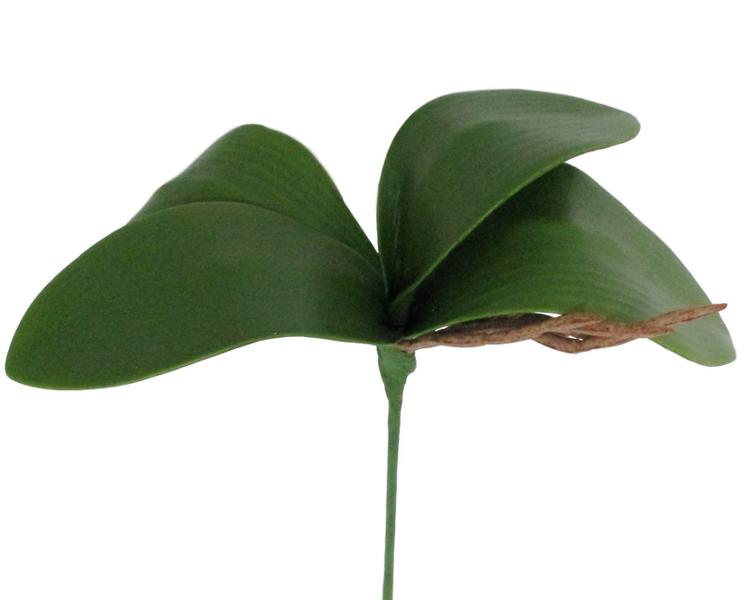 Kit folhas de orquídea artificial 8 haste - Decora Flores Artificiais Imagem de Kit folhas de orquídea artificial 8 haste