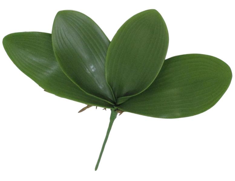 Kit folhas de orquídea artificial 8 haste - Decora Flores Artificiais Imagem de Kit folhas de orquídea artificial 8 haste