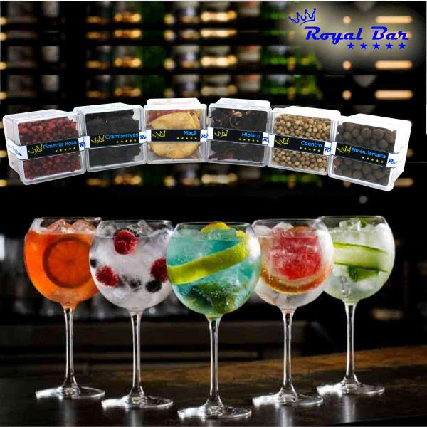 Imagem de Kit Gin Tonica Especiarias para Gin Magic Infusion Apple By RoyalBar