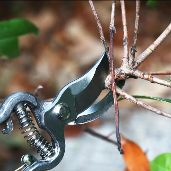 Imagem de Kit Jogo Jardinagem Jardim Pá Tesoura Poda Luva 5 Peças Profissional