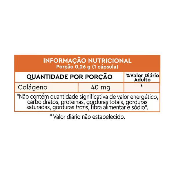 Imagem de Kit Lavitan Colágeno Tipo II 40mg Com 3 Unidades De 30 Cápsulas Cada