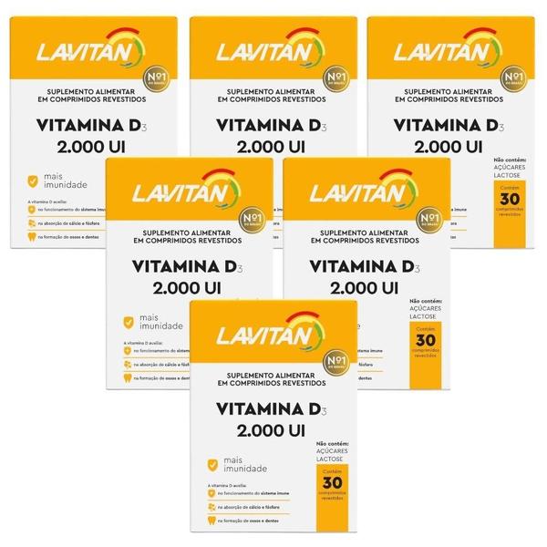 Imagem de Kit Lavitan Vitamina D3 2.000UI Com 6 Unidades De 30 Comprimidos Revestidos Cada