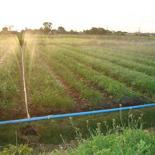 Imagem de Kit Mangueira Irrigação Santeno 1 Microperfurada 200m