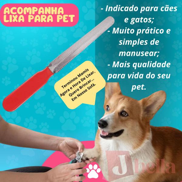 Imagem de Kit Maquina Pet Tosa + Tessoura Aparador de Pelos Cortador Dog Cat Coelho Maquininha USB Recarregável Profissional Grooming Kit Completo