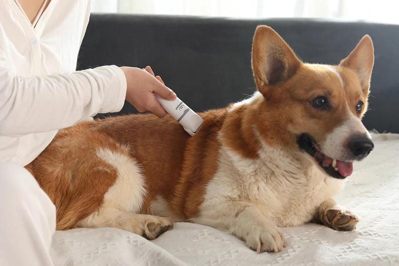 Imagem de Kit Maquina Tosa Cães Gato Cachorro Sem Fio Tosquiadeira Aparador Pelos Moedor de Unha Recarregável