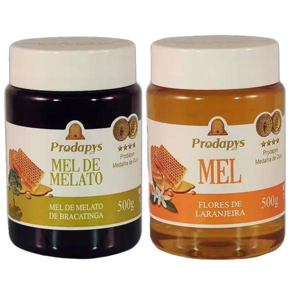 Kit Mel Flores de Laranjeira e Mel Melato de Bracatinga 500g - Prodapys Imagem de Kit Mel Flores de Laranjeira e Mel Melato de Bracatinga 500g