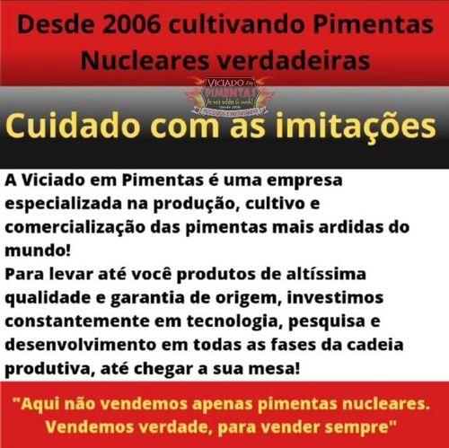 Kit Molho De Pimentas Carolina Reaper - VICIADO EM PIMENTAS Imagem de Kit Molho De Pimentas Carolina Reaper