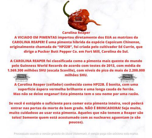 Kit Molho De Pimentas Carolina Reaper - VICIADO EM PIMENTAS Imagem de Kit Molho De Pimentas Carolina Reaper