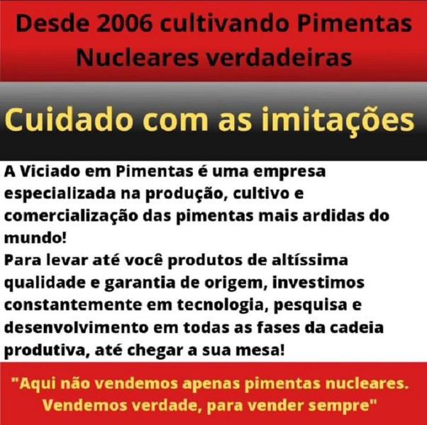 Kit Molhos De Pimentas Orgânico Natural +ardida Do Mundo - VICIADO EM PIMENTAS Imagem de Kit Molhos De Pimentas Orgânico Natural +ardida Do Mundo