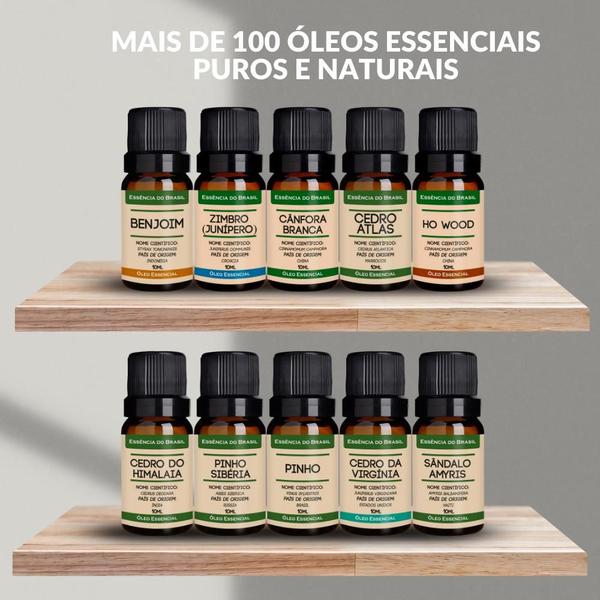 Imagem de Kit Óleo Essencial Alecrim + Óleo Vegetal Rosa Mosqueta 10ml