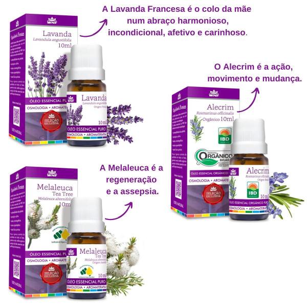 Imagem de Kit  Óleo Essencial Melaleuca (Tea Tree), Lavanda e Alecrim 10ml WNF - 100% Puros e Naturais - Aromaterapia