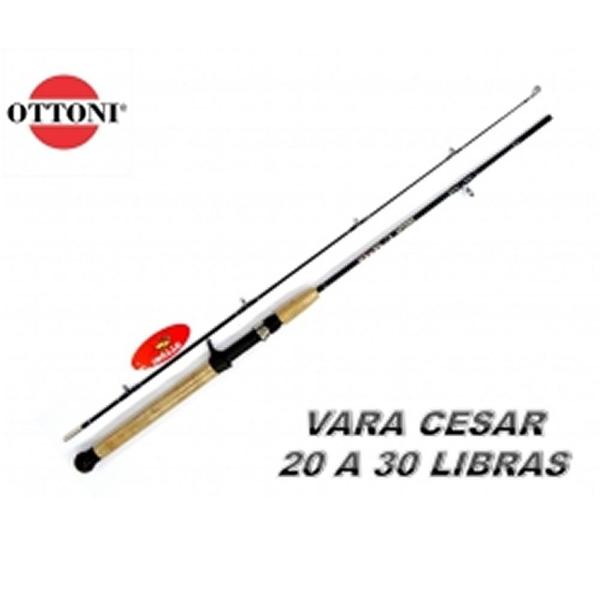 Imagem de Kit Pesca 18kg Carretilha 10 Rol Vara 1,70 2 Isca Articulado