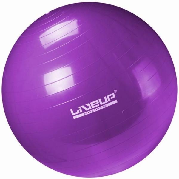 Kit Pilates com 3 Bolas Suicas Tamanhos 45 Cm + 55 Cm + 65 Cm + Mini Bomba Liveup Sports Imagem de Kit Pilates com 3 Bolas Suicas Tamanhos 45 Cm + 55 Cm + 65 Cm + Mini Bomba Liveup Sports