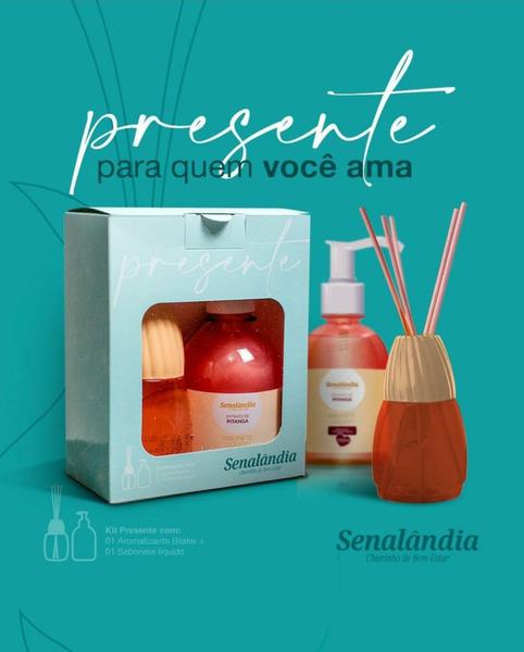 Imagem de Kit presente difusor pitanga 250ml + aromatizante pitanga 200ml