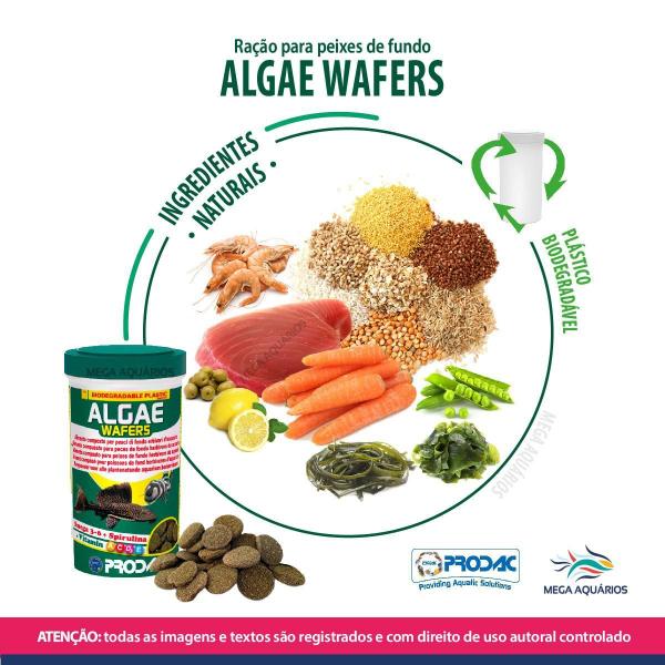 Imagem de Kit Prodac Algae Wafer + Tropical Fish Flakes + Spirulina