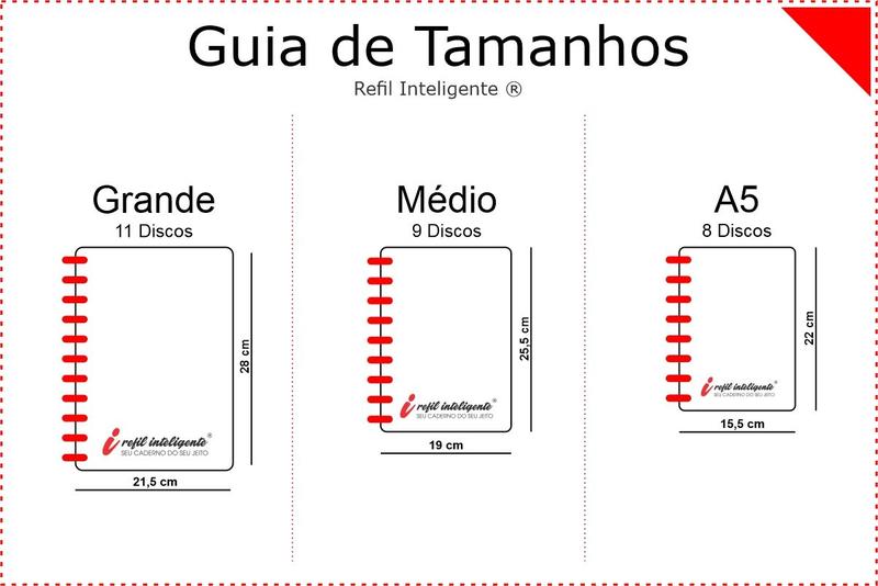 Imagem de Kit Refil Caderno Inteligente Grande Pautado 90g 500 folhas