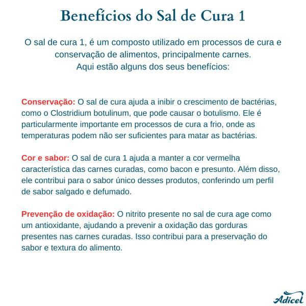 Kit Sal de Cura Sal de Cura 1 e Sal de Cura 2 Adicel - 1kg Cada - Adicel Ingredientes Imagem de Kit Sal de Cura Sal de Cura 1 e Sal de Cura 2 Adicel - 1kg Cada