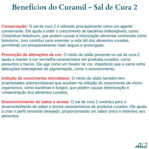 Kit Sal de Cura Sal de Cura 1 e Sal de Cura 2 Adicel - 1kg Cada - Adicel Ingredientes Imagem de Kit Sal de Cura Sal de Cura 1 e Sal de Cura 2 Adicel - 1kg Cada