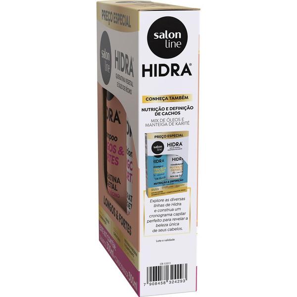 Kit Shampoo E Condicionador Salon Line Hidra Óleo De Rícino 300ml Imagem de Kit Shampoo E Condicionador Salon Line Hidra Óleo De Rícino 300ml