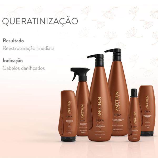 Imagem de Kit Shampoo e Recondicionador Kera System Aneethun