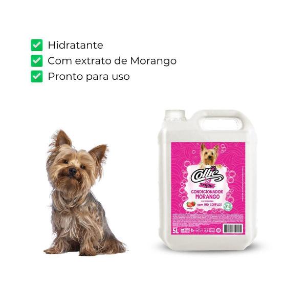 Imagem de Kit Shampoo Morango 5 Lt + Coco 5 Lt - Collie