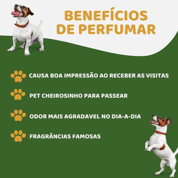 Imagem de KIT Shampoo, Perfume e Condicionador Cat Dog Cães e Gatos