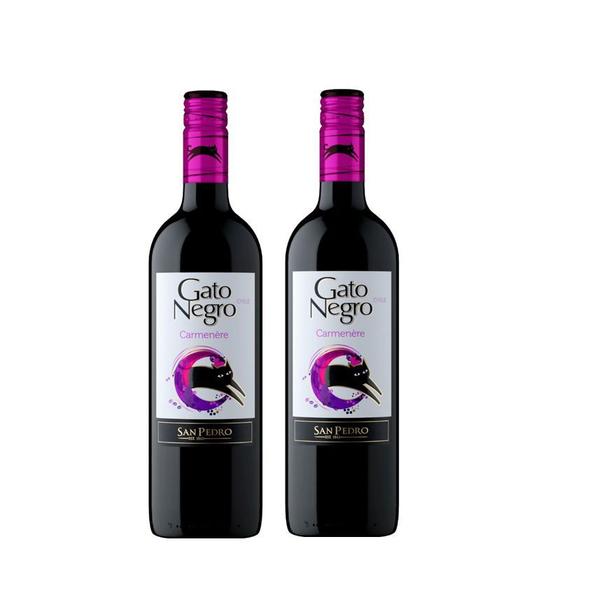 Imagem de Kit Vinho Gato Negro Carmenère Tinto Seco 750ml 2 unidades