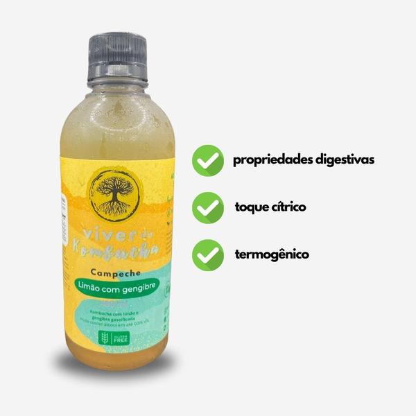 Imagem de Kit Viver de Kombucha degustação 4 unidades