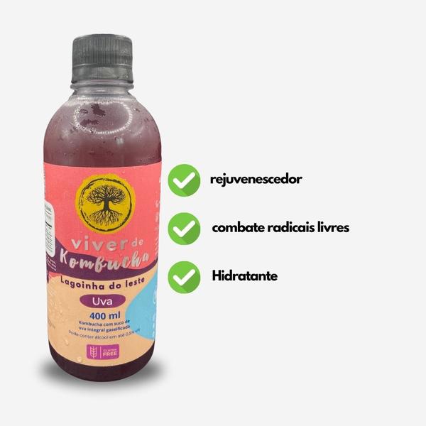 Imagem de Kit Viver de Kombucha degustação