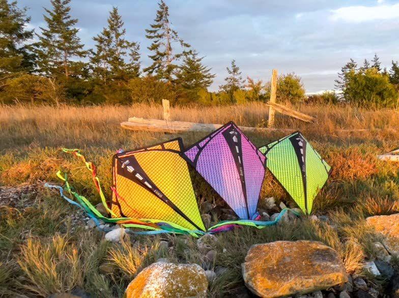 Kite Prism Kite Technology Vertex High Flying Diamond com cauda Imagem de Kite Prism Kite Technology Vertex High Flying Diamond com cauda