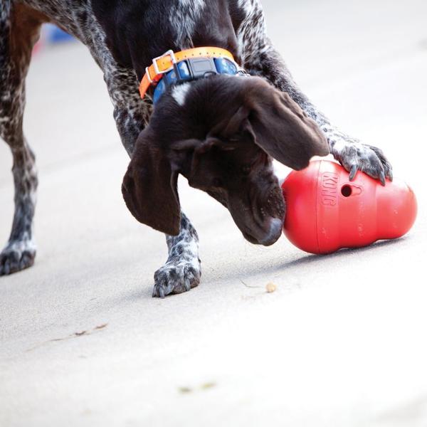 Imagem de Kong Wobbler João Bobo G Recheável para Cães