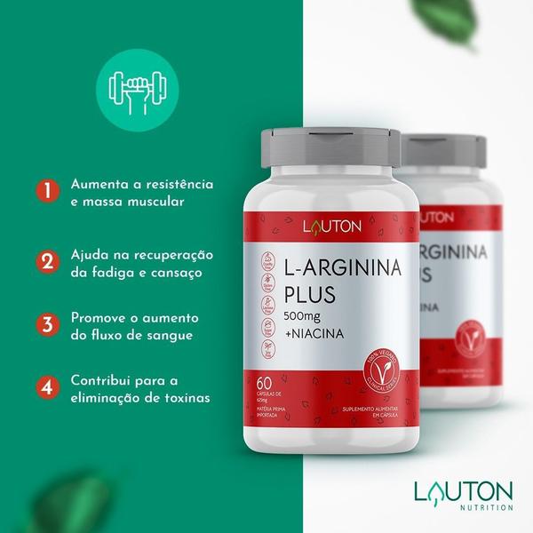 Imagem de L-Arginina Plus 500mg com Niacina Premium Vegano Lauton - Kit 4 potes