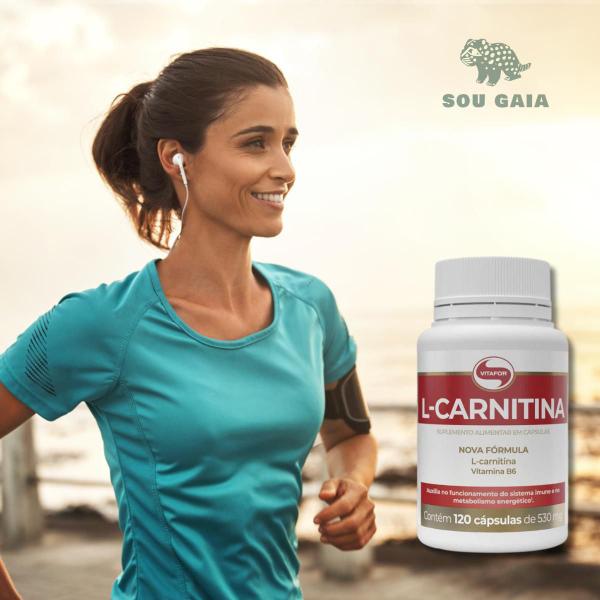 L-carnitina Vitamina B6 120 Cps 500 mg (dose) - Biotina - Magazine  Ebomounao