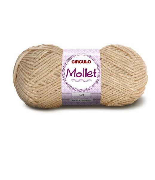 Lã Mollet Circulo 100G 0769- Chiclete Imagem de Lã Mollet Circulo 100G 0769- Chiclete