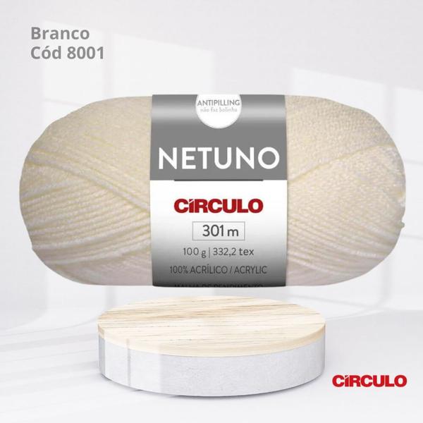 Imagem de Lã Netuno 100g Cor Branco 8001