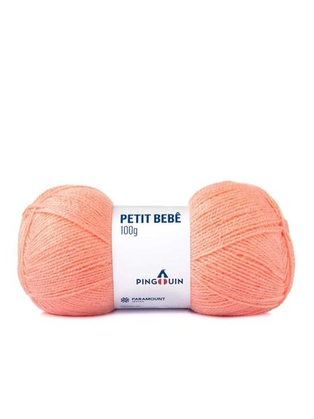 Imagem de Lã Petit Bebe 100g  - 100% Acrílico - Tex 250