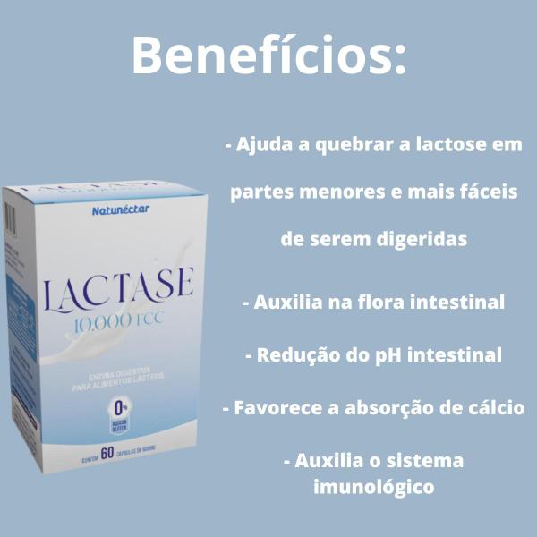 Lactase 10.000fcc Enzima 60 Cápsulas Natunéctar Lactose Imagem de Lactase 10.000fcc Enzima 60 Cápsulas Natunéctar Lactose