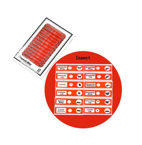 Imagem de Lâminas Biológicas Para Microscópio 12 Peças