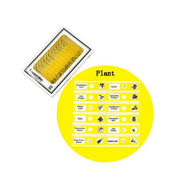 Imagem de Lâminas Biológicas Para Microscópio 12 Peças